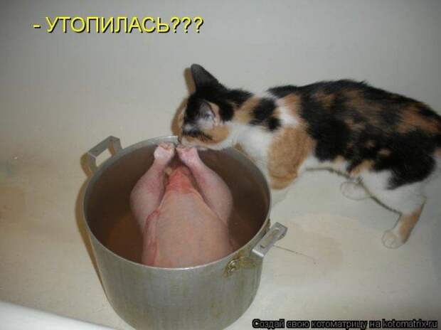 Мысли вслух :)