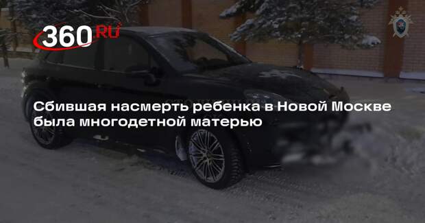 РЕН ТВ: ребенка в Новой Москве насмерть сбила многодетная мать