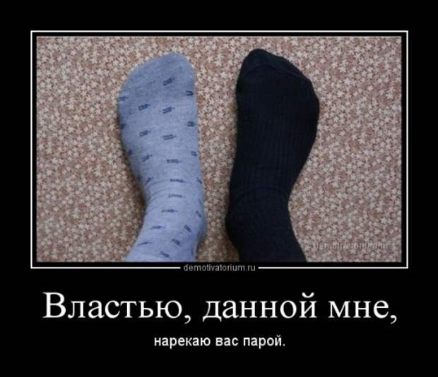 Новые прикольные демотиваторы (20 фото)
