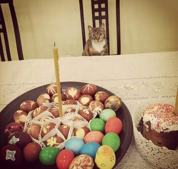 вся правда о независимых женщинах