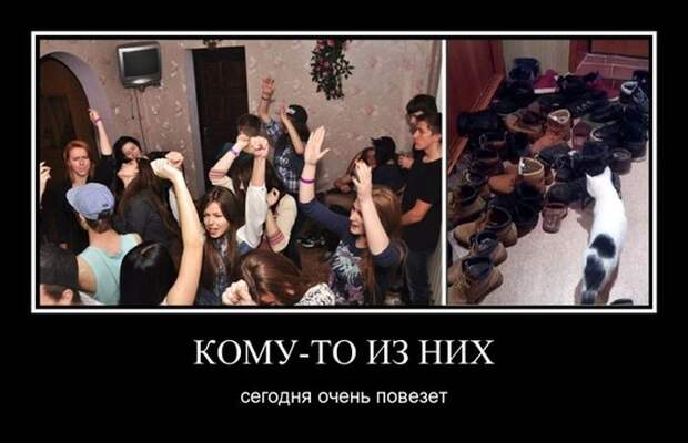 Подборка демотиваторов  демотиватор, юмор