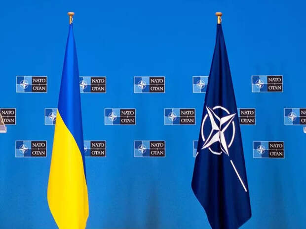Новости СВО. НАТО поделила Украину на четыре части — СМИ. Карта боевых действий на Украине на сегодня 30.11.2024