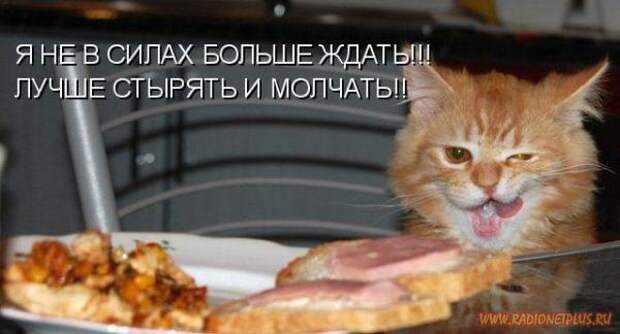 Зверье мое......