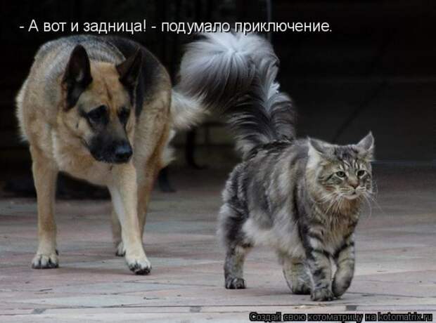Мысли вслух :)