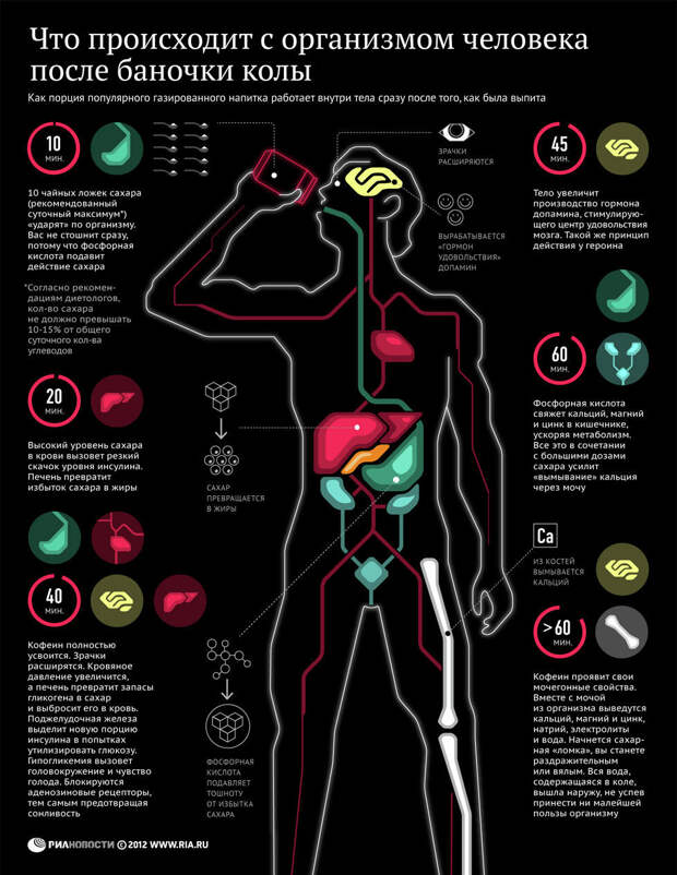 Инфографика. Что происходит с организмом человека после баночки колы.