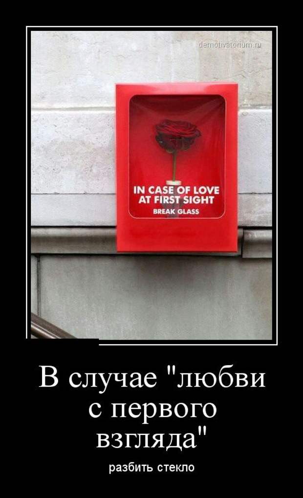 Подборка  демотиваторов демотиваторы, юмор