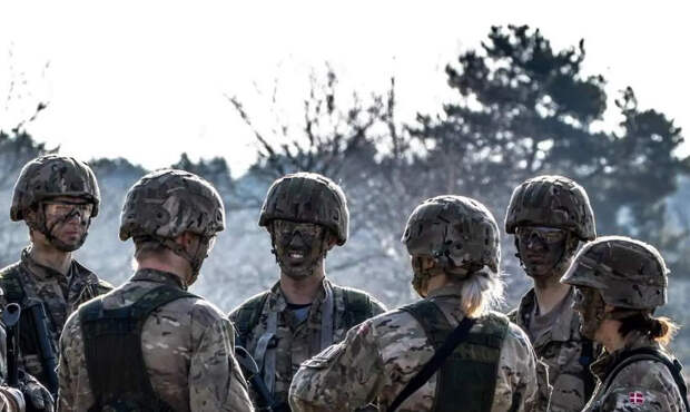 Дания всерьёз готовилась к войне с США из-за Гренландии