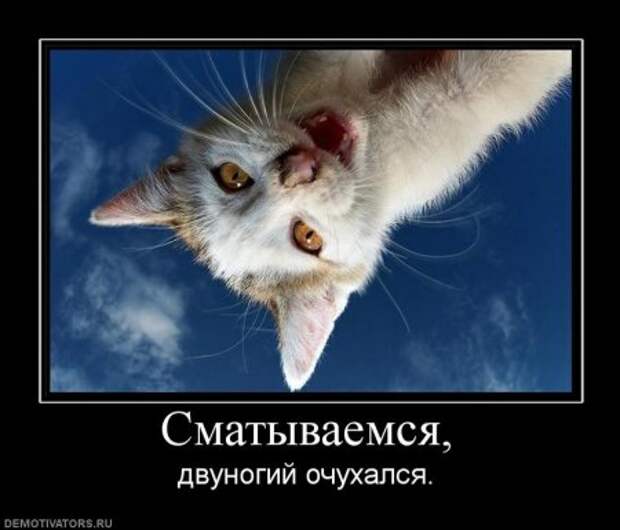 Порция хороших демотиваторов.