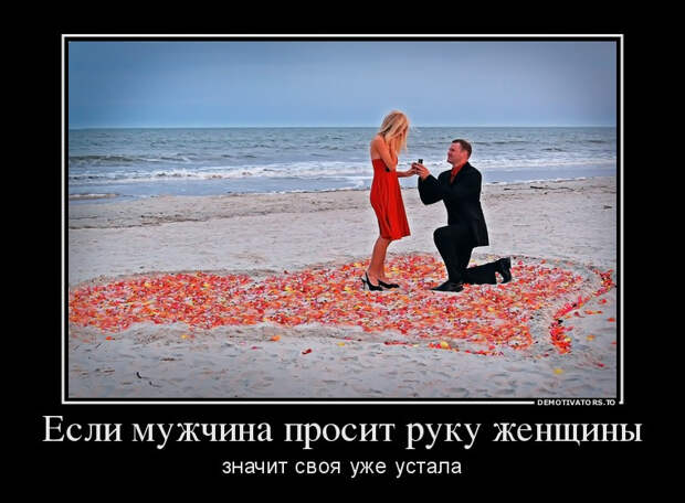 Демотиваторы, часть 269 (28 фото) Демотиваторы, часть 269 (28 фото)