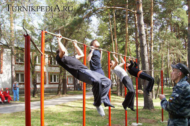http://www.turnikpedia.ru/images/stories/articles/turnik.jpg