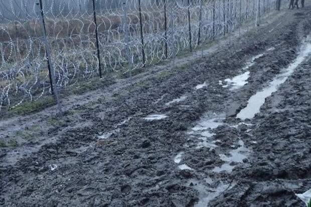 Польша построит капитальное заграждение из стали на границе с Белоруссией