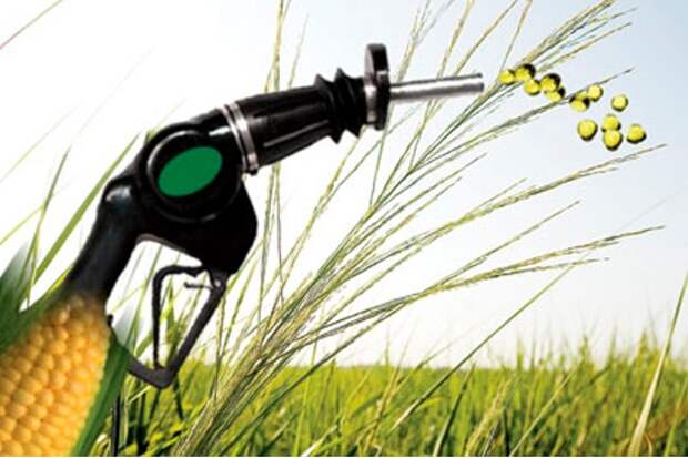ФРГ советует G7 пожертвовать биотопливом ради еды