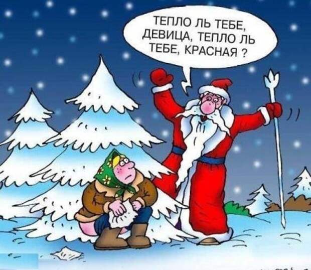 Поржачная солянка! #3