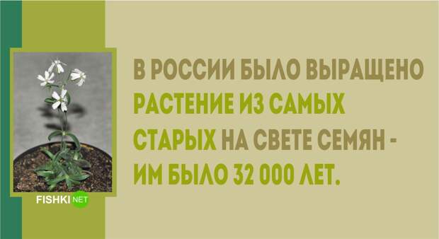 28 фактов о России которые известны Америке люди, россия, факты