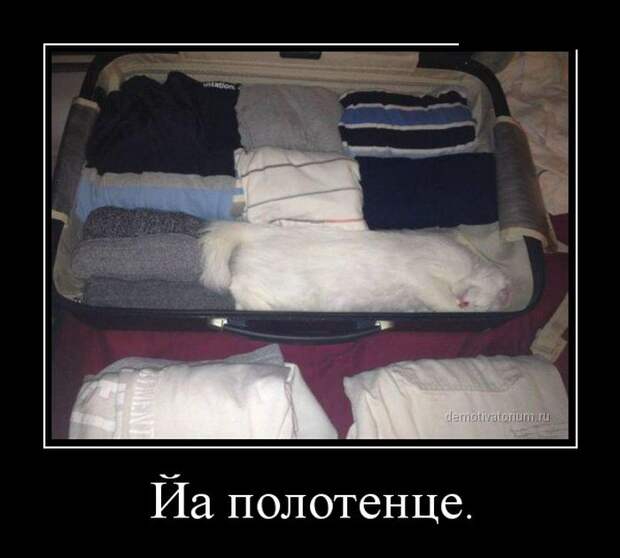 Демотиваторы №1024 (30 фото)