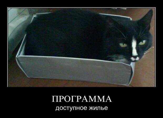 Демотиваторы демотиваторы, прикол, смех, юмор
