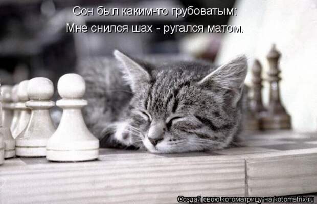 Лучшие котоматрицы недели (50 фото) Лучшие котоматрицы недели (50 фото)