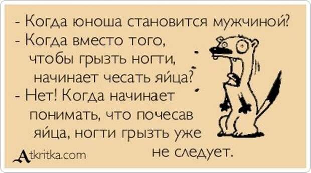 Веселые Аткрытки с текстом Веселые Аткрытки с текстом