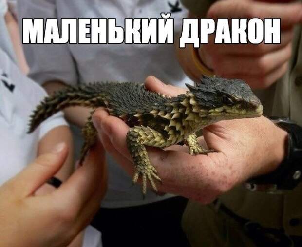 Подборка картинок (20 фото)