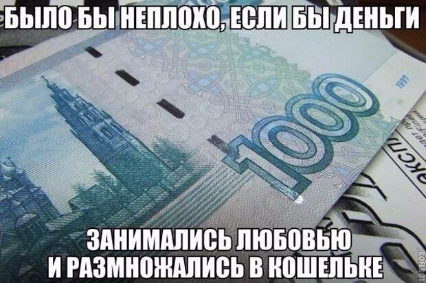 Смешные картинки с надписями прикол, юмор
