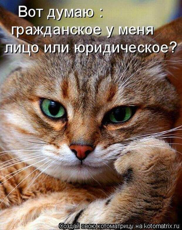 Мысли вслух :)