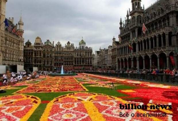 Ковер из цветов в Бельгии (9 фото)