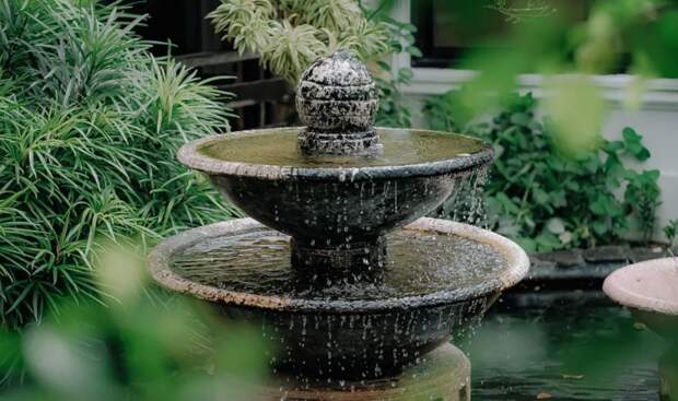 Сербские документалисты снимают фильм о Санкт-Петербурге