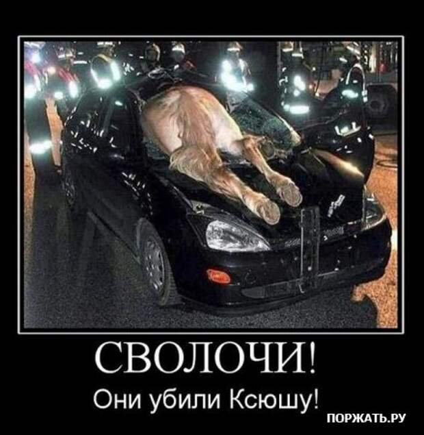 Демотиваторы, истории с приколом.