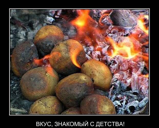 Этот незабываемый вкус детства! Этот незабываемый вкус детства! вкус детства, ностальгия, прикол