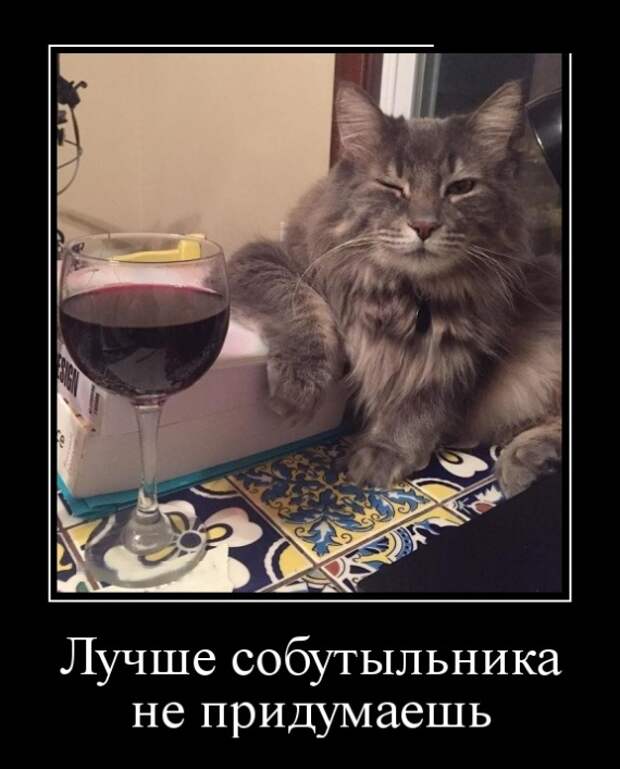 Демотиваторы (30 фото)