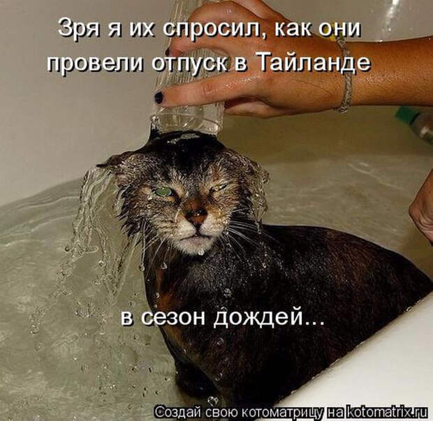 1429823345_14 (650x633, 327Kb)