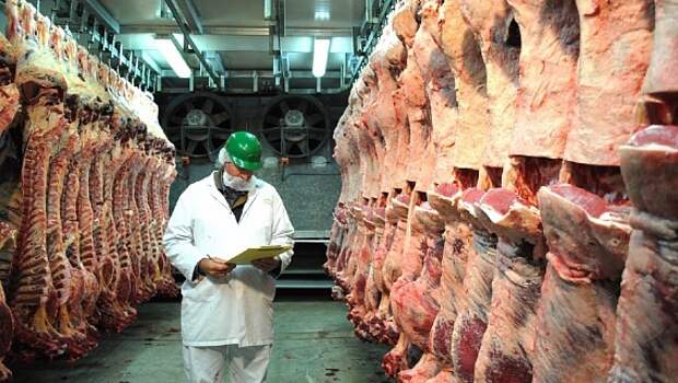 Белорусские производители будут наращивать экспорт мяса в Россию