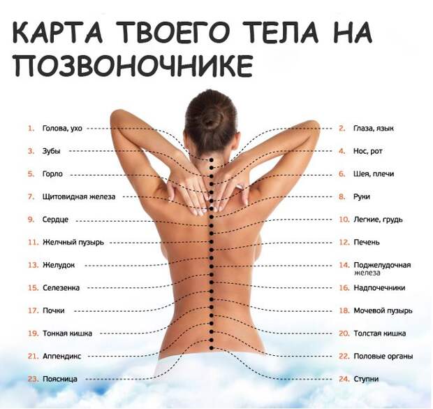 Карта тела на позвоночнике
