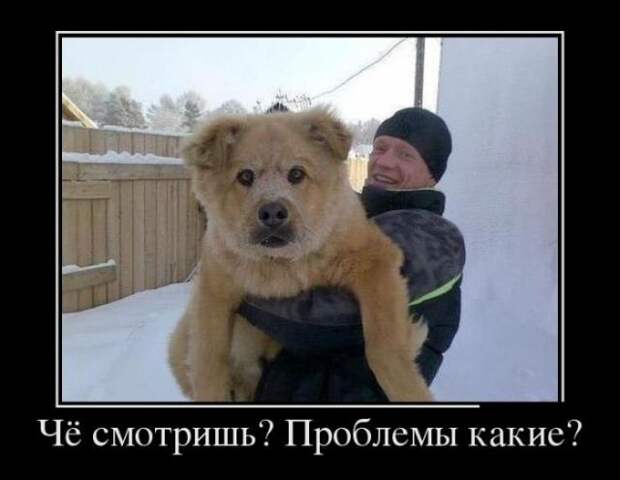 Демотиваторы (14.01.16)