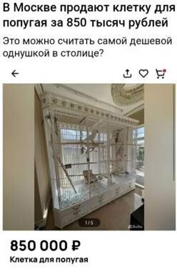 Прикольные мемы для хорошего настроения (22 фото)