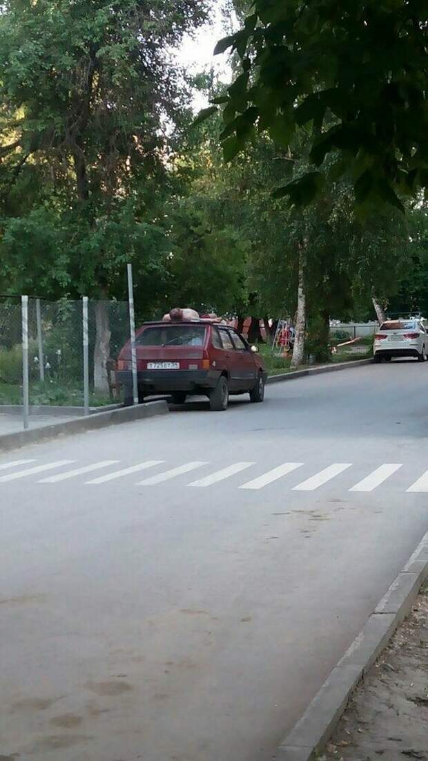 Когда душой ты уже на курорте Когда душой ты уже на курорте водоем, загар, курорт, наглость, плавки, пляж, прикол, юмор