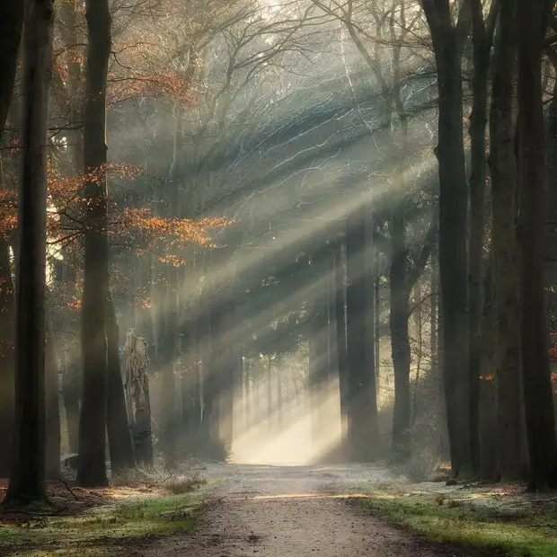 ��������� ����