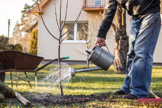 Тренер Брабечан: чтобы похудеть на огороде, не стоит потом есть шашлык