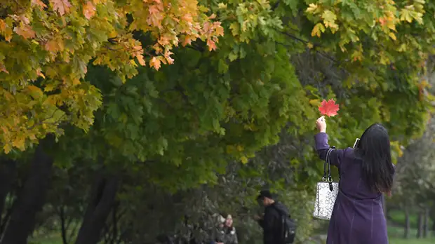 Надежда на бабье лето: синоптики прогнозируют потепление в Москве