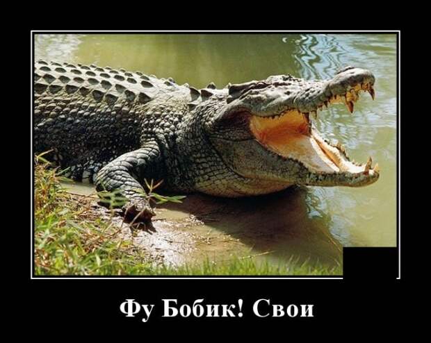Демотиваторы (20 фото)