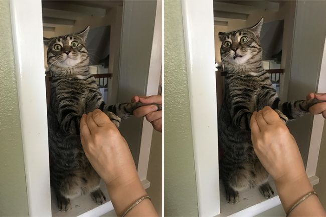Женщина, я не танцую