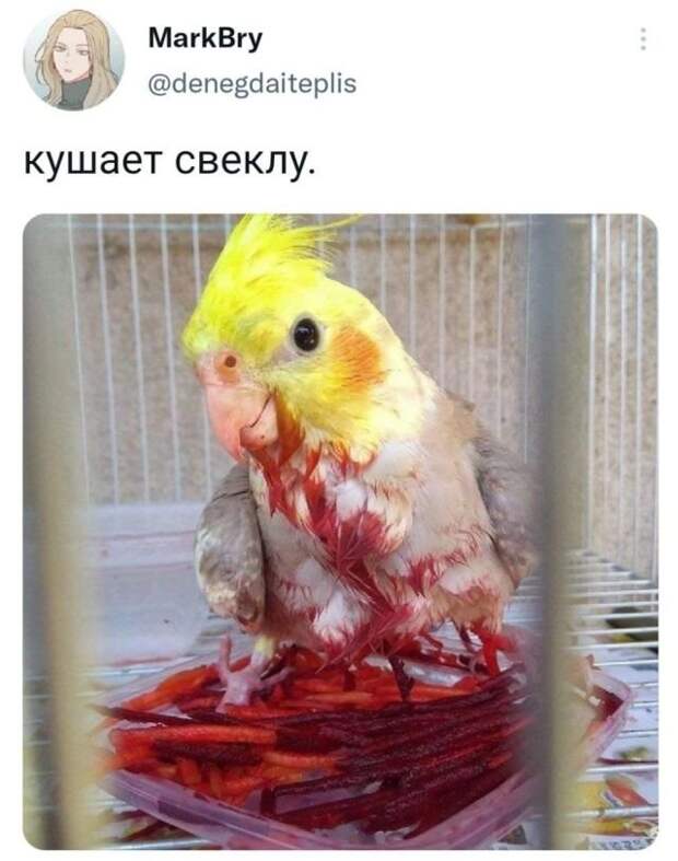Подборка забавных твитов обо всем