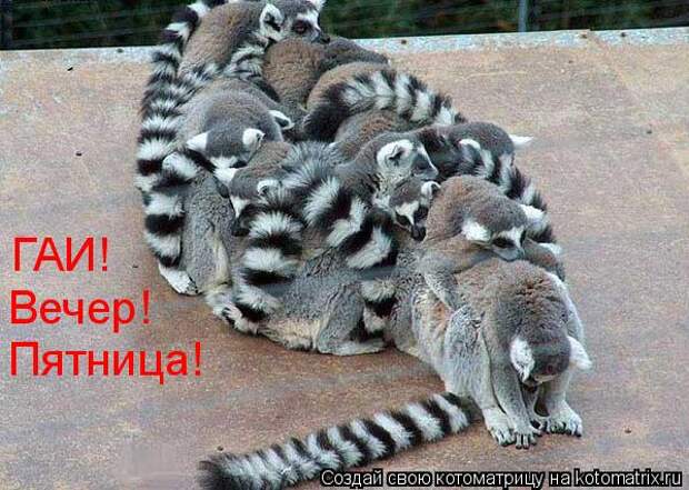 ГАИ!  Вечер! Пятница!