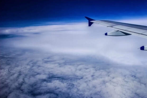 Рейс SU1854 Москва—Баку вернулся в аэропорт из‑за попадания птицы