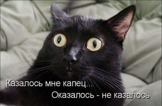 Мысли вслух :)
