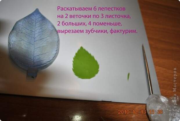 Мастер-класс Лепка МК по лепке розы Часть3-веточки Фарфор холодный фото 1