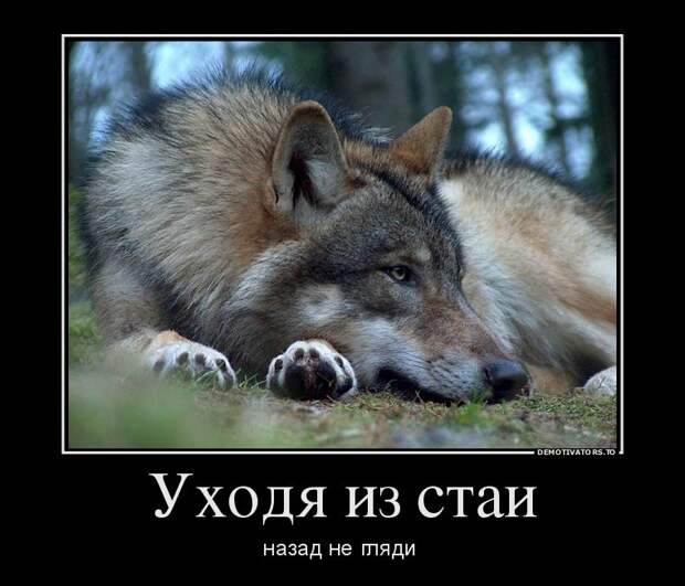 Свежие демотиваторы дня от 11-06-2014