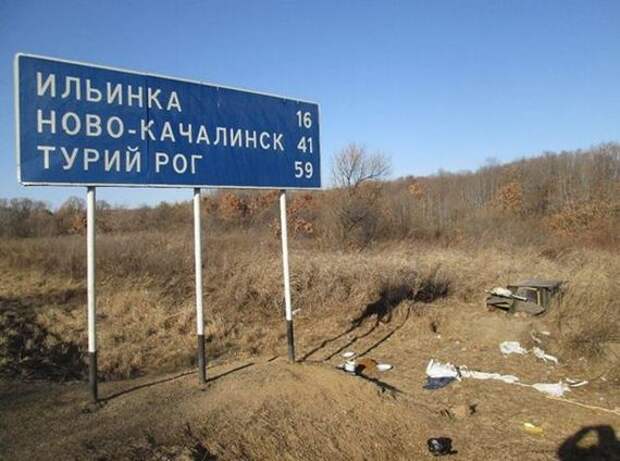 Собака третий год ждет хозяина у дорожного знака в Приморье хатико, Собака, Приморский край, длиннопост