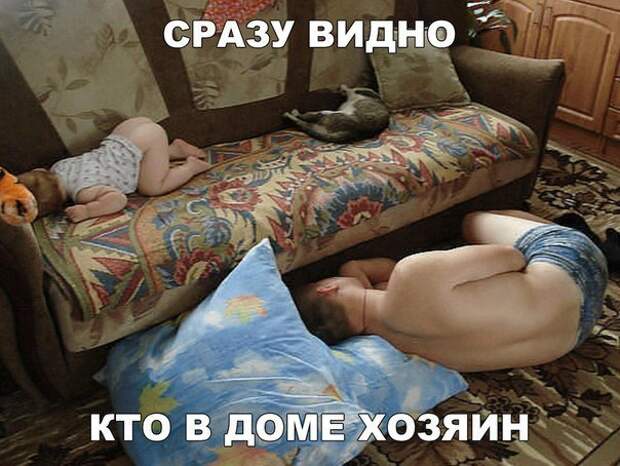 Картинки с надписями для настроения Картинки с надписями для настроения