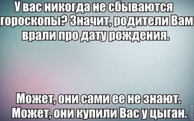 Самые прикольные картинки